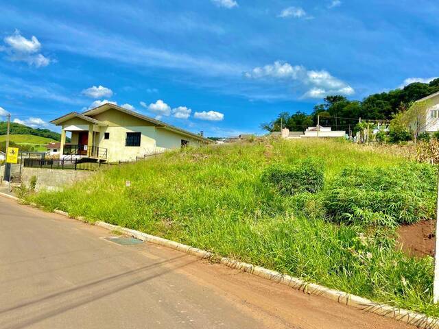 Área para Venda em Erval Velho - 4