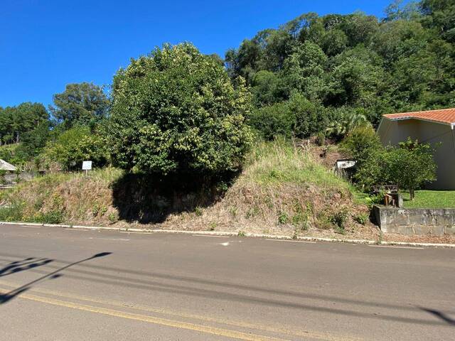 #38 - Área para Venda em Erval Velho - SC - 3