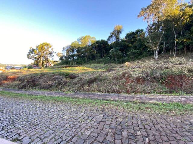 #42 - Área para Venda em Erval Velho - SC - 2