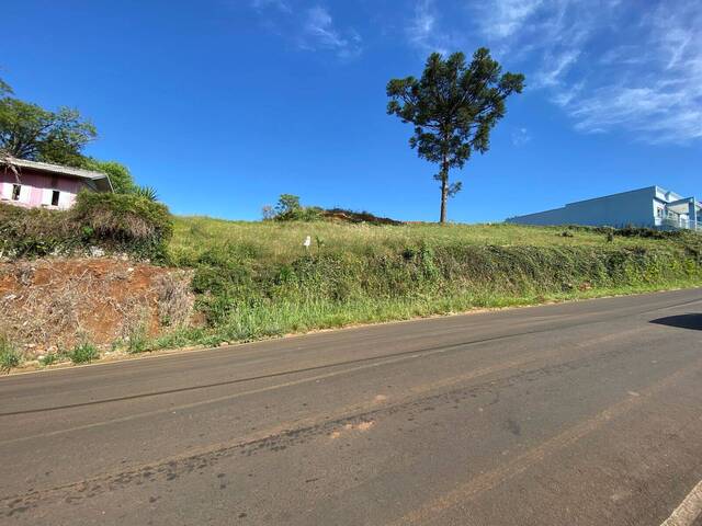 #58 - Área para Venda em Erval Velho - SC - 3