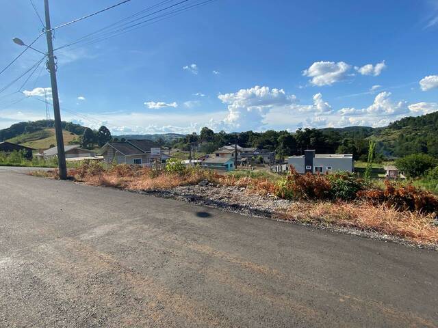 #59 - Área para Venda em Erval Velho - SC - 3