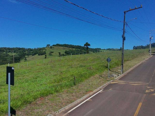 Área para Venda em Erval Velho - 4